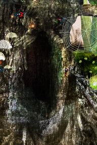 Grafikk til urskogen Silva på Nasjonalmuseet. Illustrasjon. Kreditering: Nasjonalmuseet