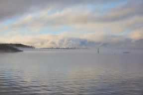 Utsikt fra kantina på skur 39. Foto.