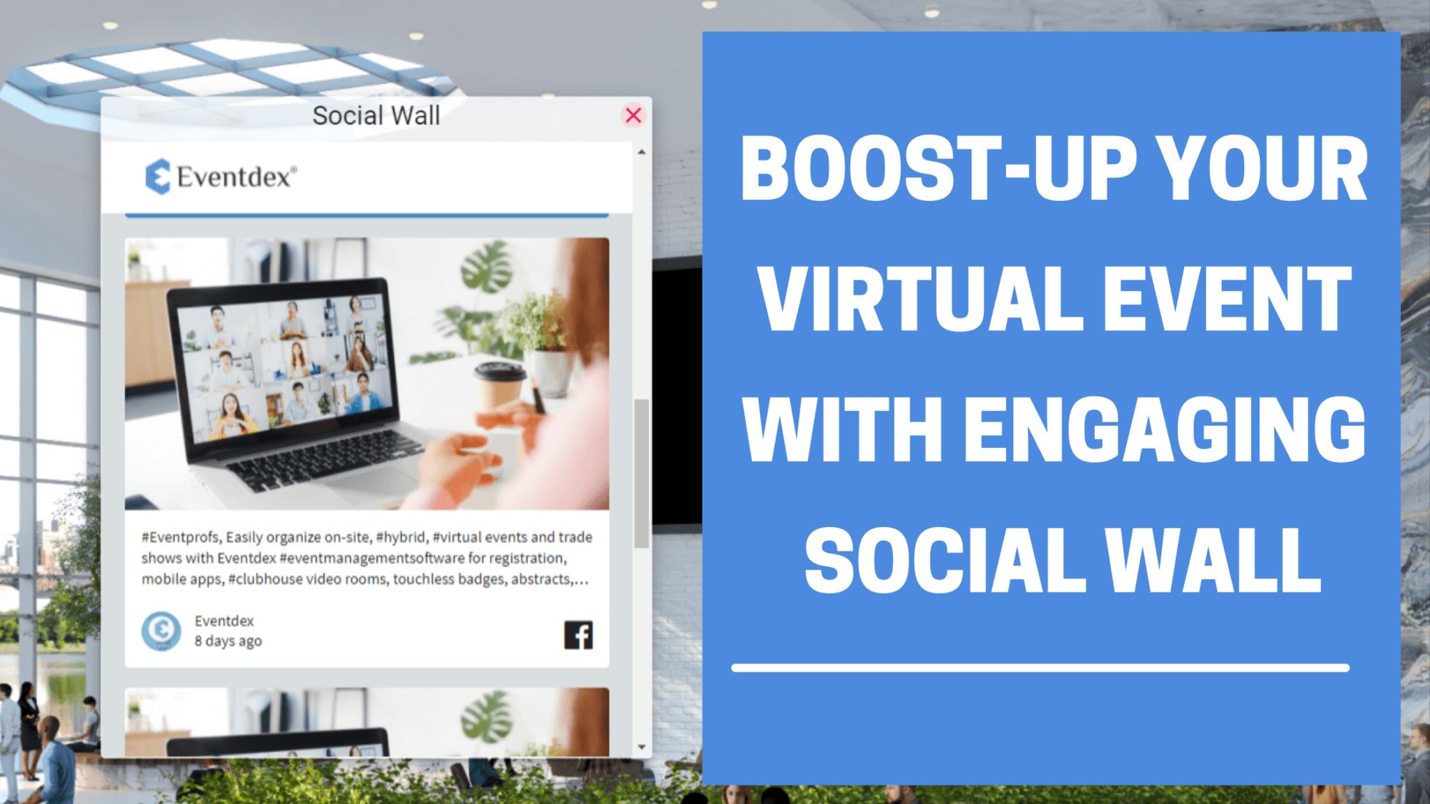social wall