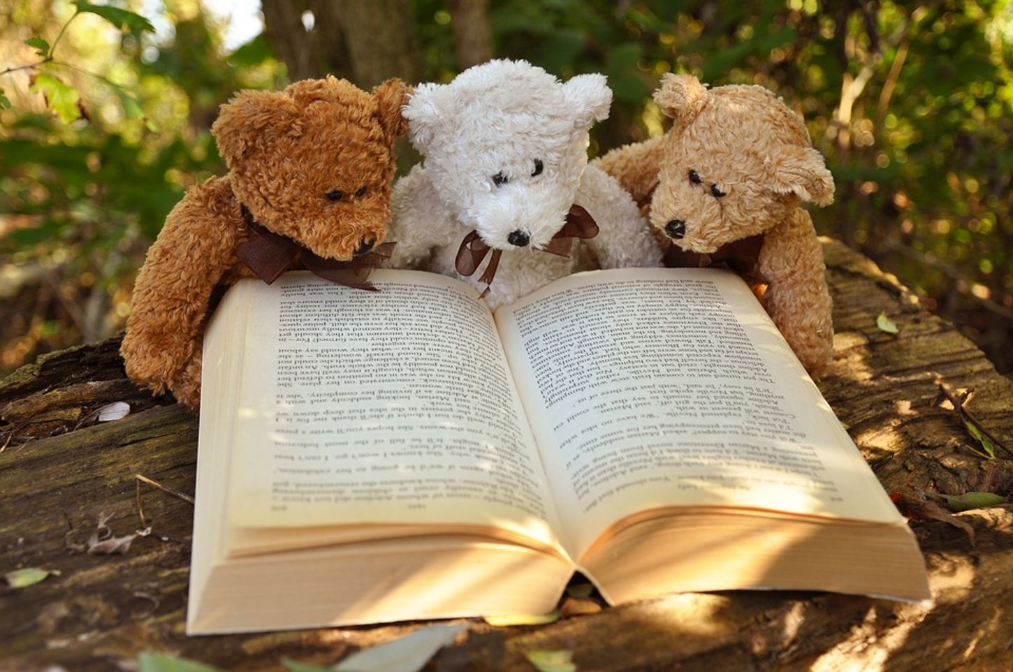Tre teddybjørner leser i en bok