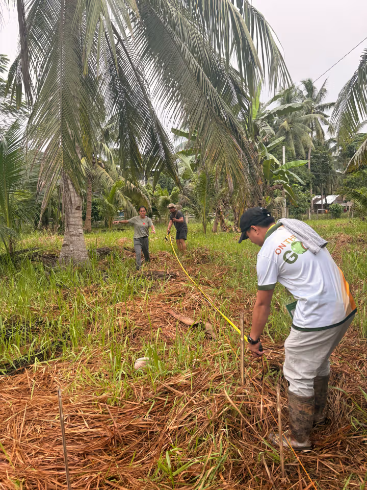 Cooperative members preparing the communal nursery