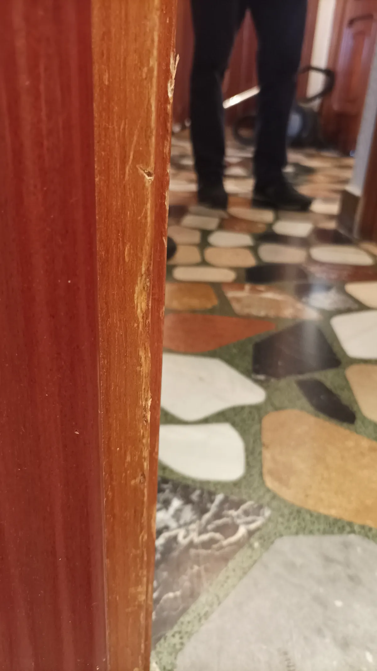 TODO: Título en español — imagen 13