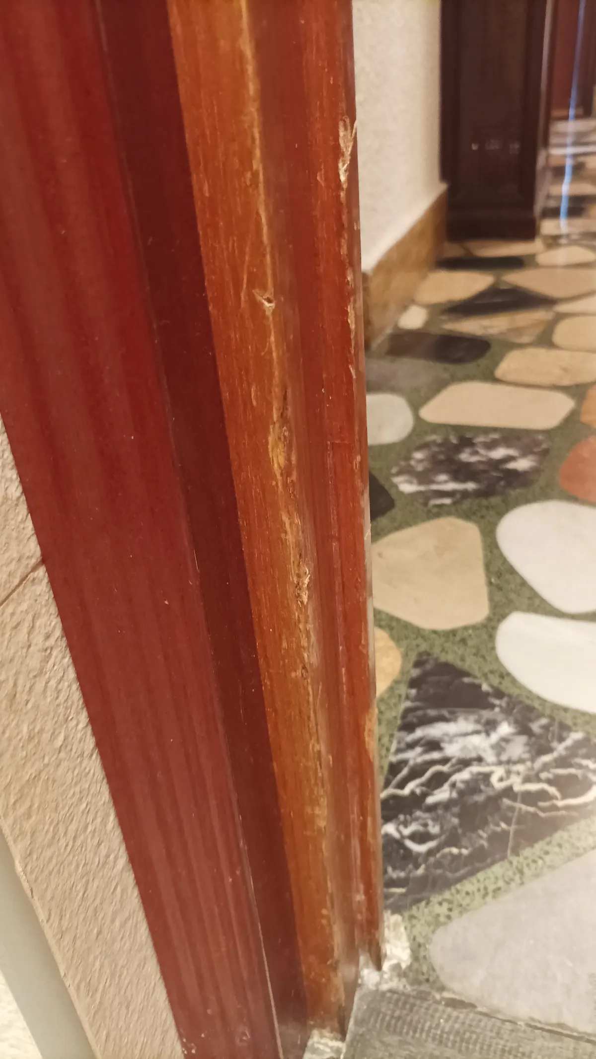 TODO: Título en español — imagen 12