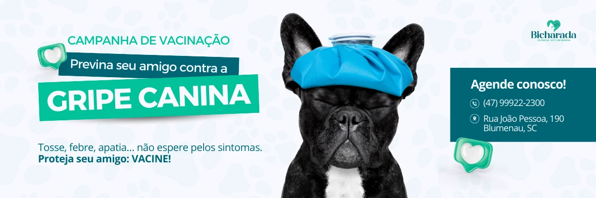 Banner da campanha de vacinação contra a gripe canina da clínica Bicharada. Um bulldog com bolsa de gelo na cabeça ilustra os sintomas. Texto: “Previna seu amigo contra a gripe canina. Vacine!”. Botão: “Clique aqui e agende conosco!”.