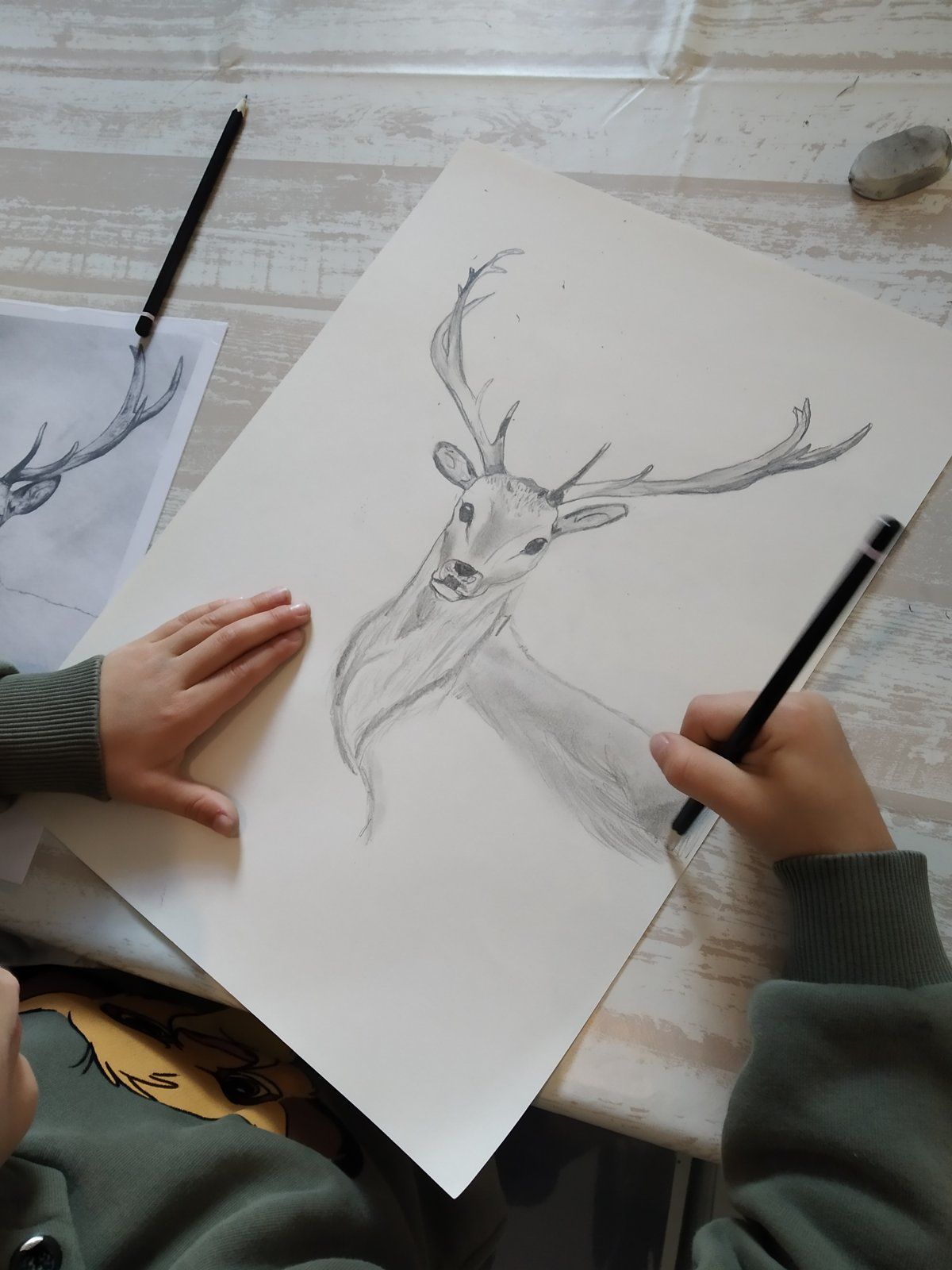 Un cerf dessiné au crayon
