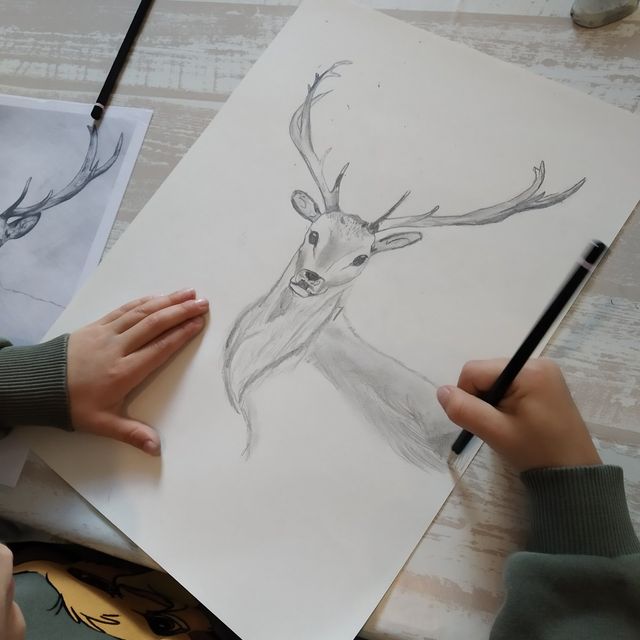Un cerf dessiné au crayon