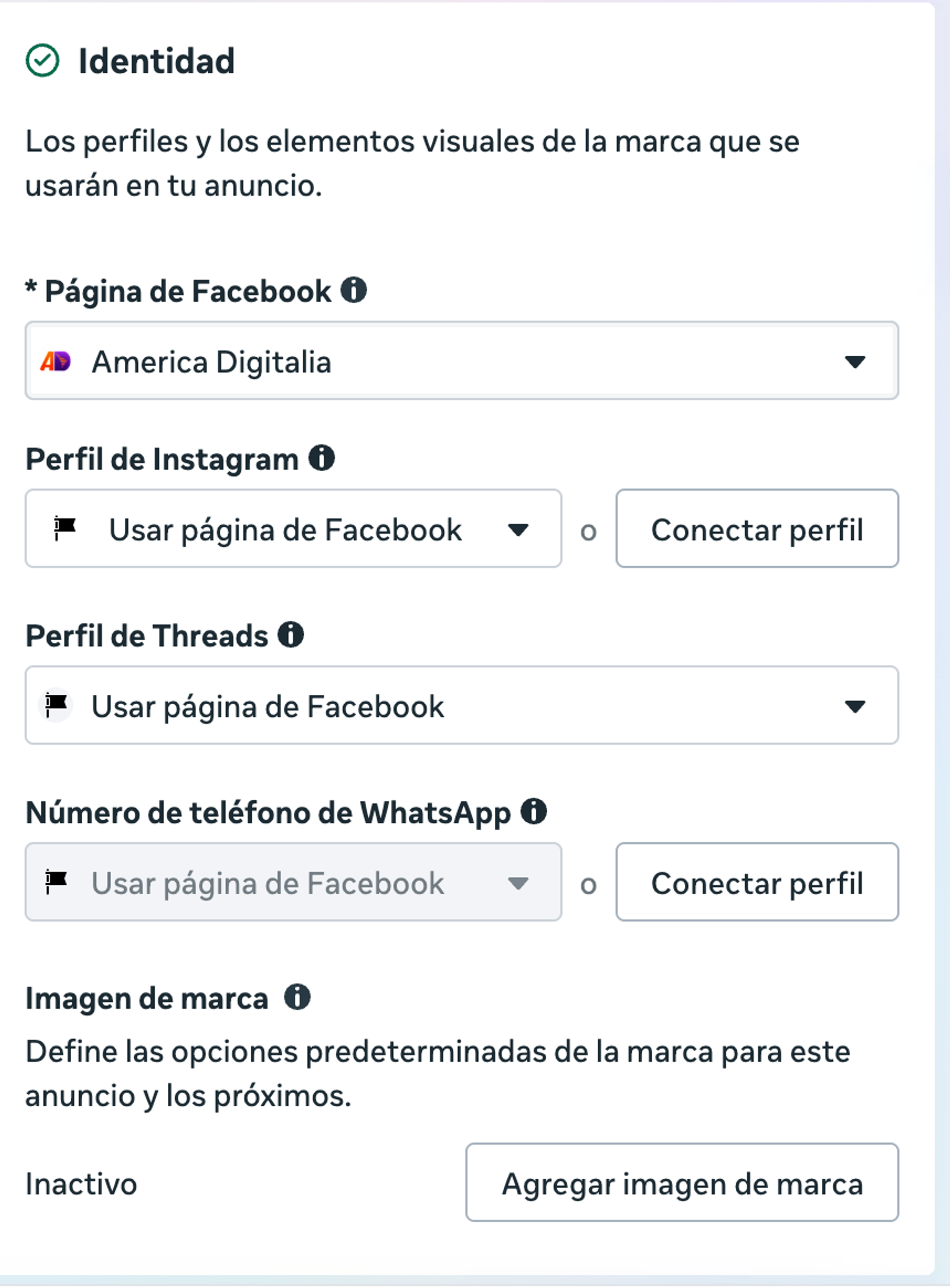 Meta, bloque «Identidad». «Página de Facebook»: America Digitalia con el logo AD.