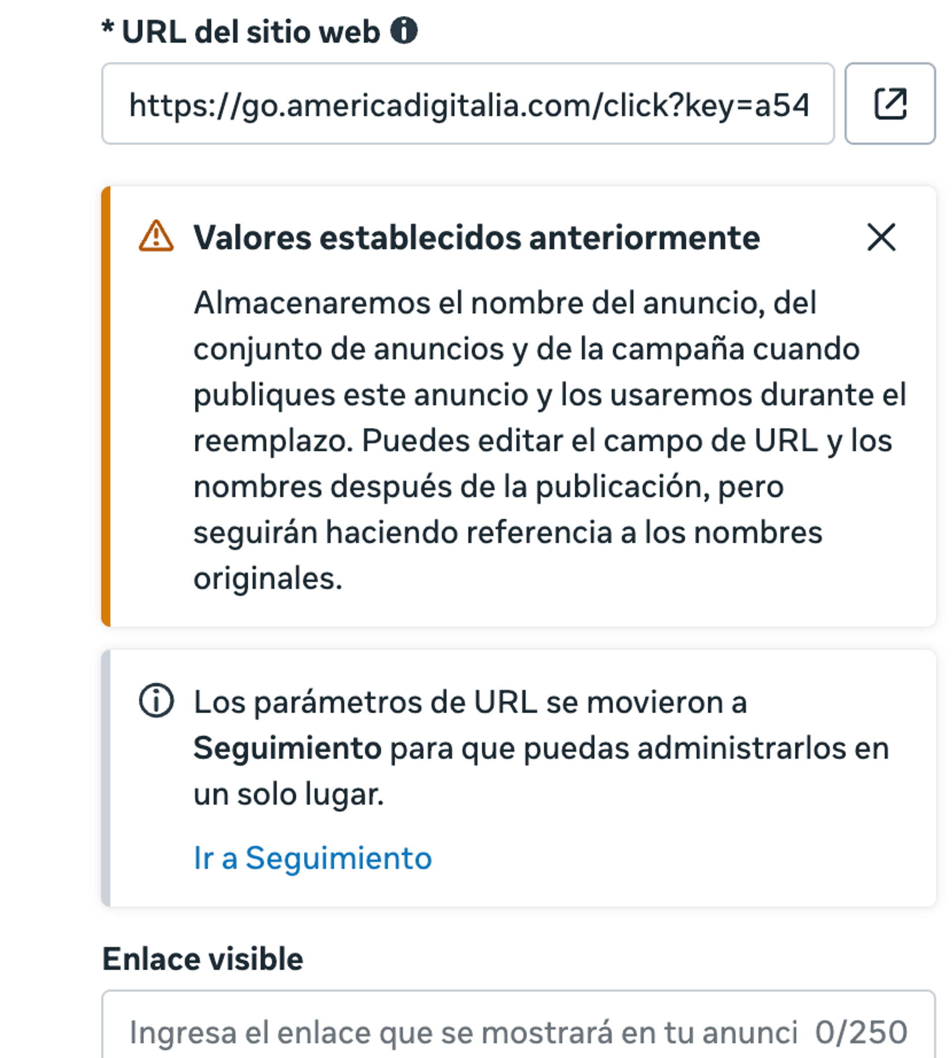 Meta, bloque «Destino»: el enlace de Binom en «URL del sitio web», el aviso «Valores establecidos anteriormente» y el campo «Enlace visible».