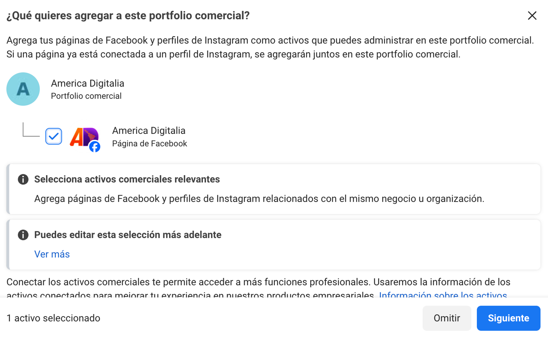 Diálogo para agregar activos al portfolio comercial con la página America Digitalia seleccionada.