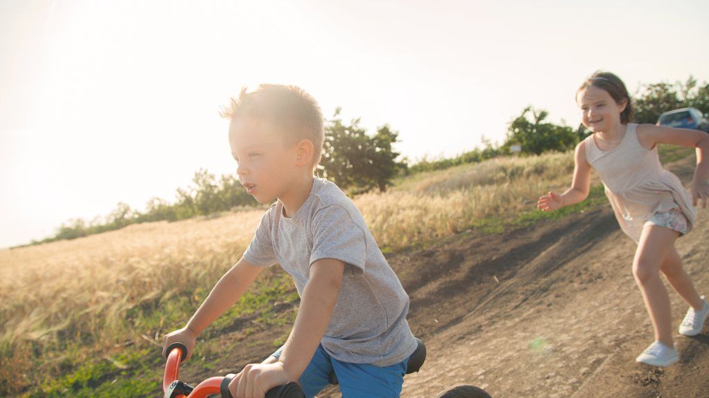 Early Childhood Stages of Psychosocial Development