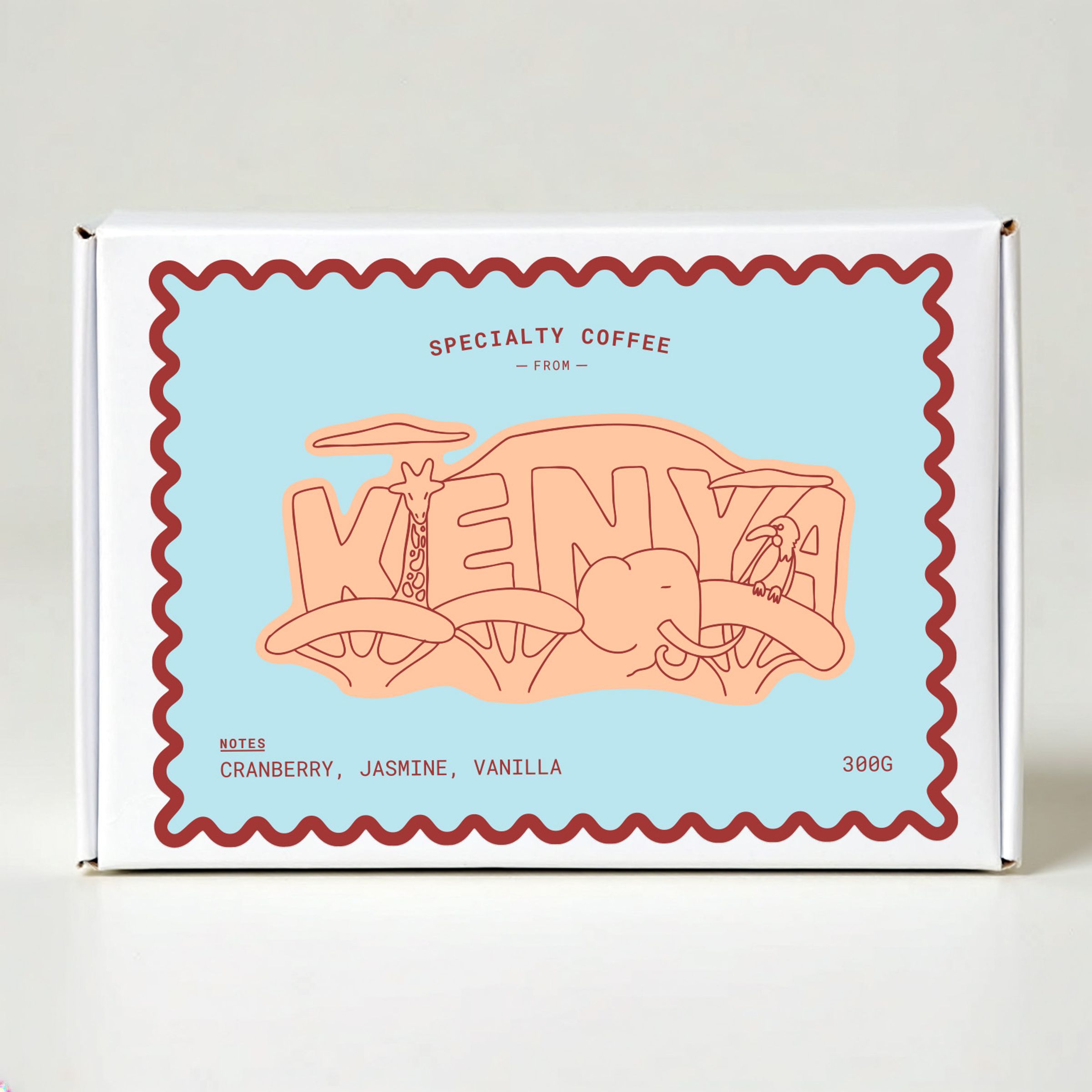 Illustrative packaging for Bean There Coffee Company