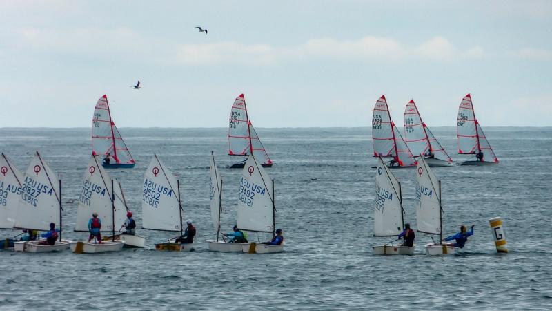 Optis and 29er's at outside the Santa Barbara harbor