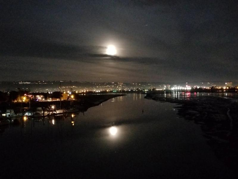 View from the bike bridge in Alameda 