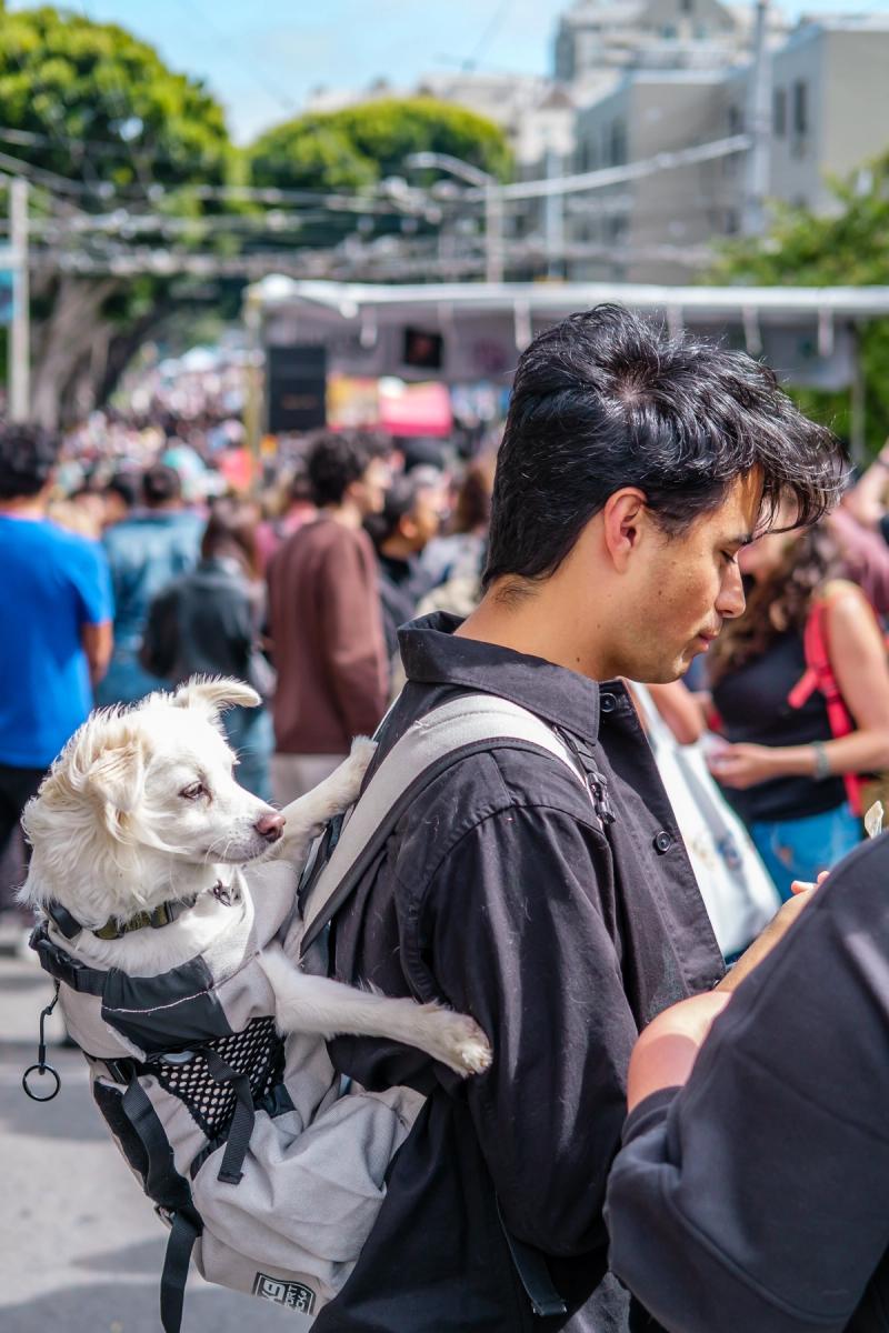 Fillmore St Jazz Festival