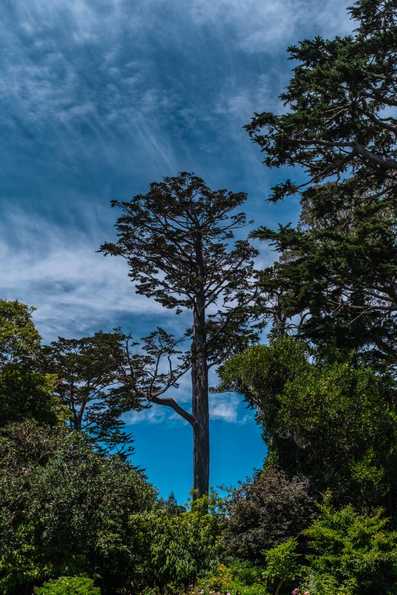 Botanical Gardens