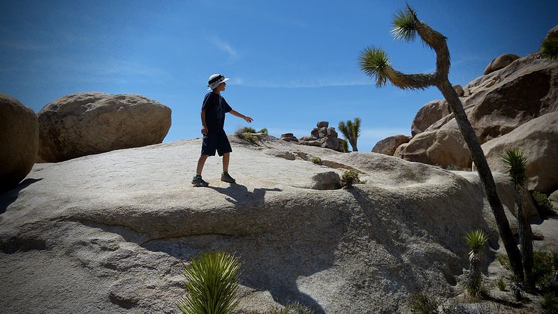Camping at Joshua Tree