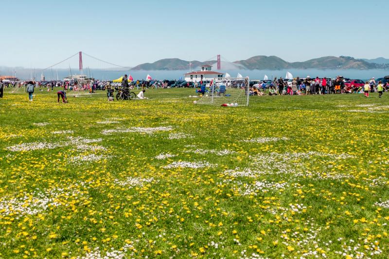 Marina Green
