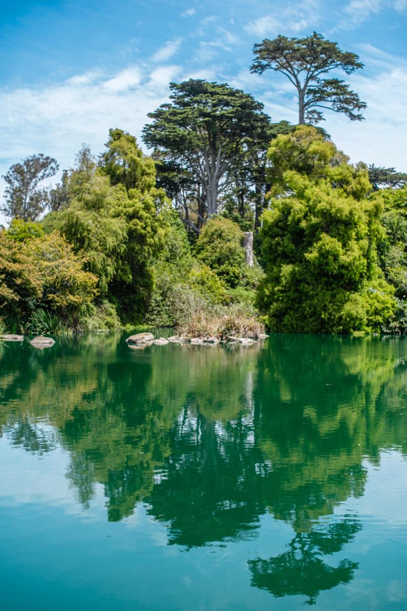 Botanical Gardens