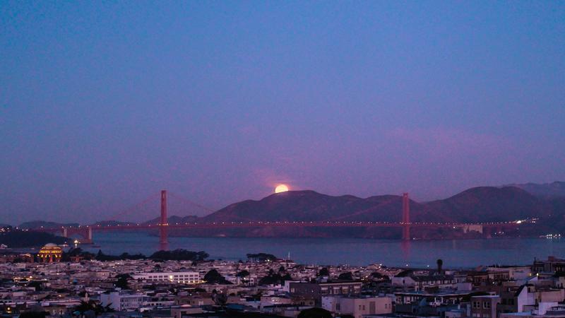 Beautiful SF "Winter"