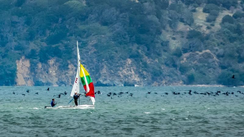 Spring Dinghy