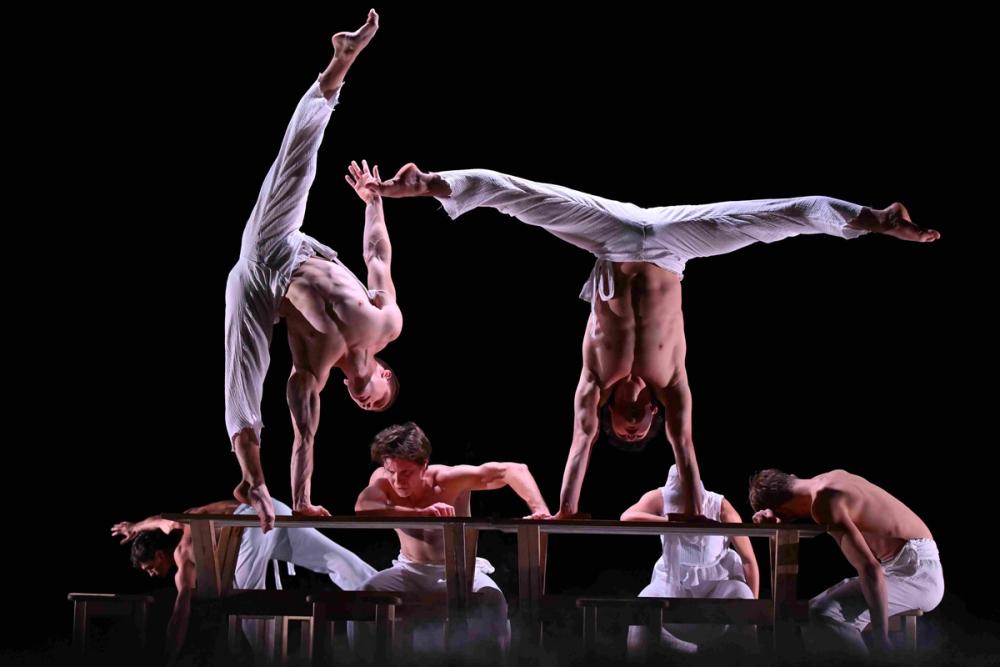 Cirque Inshi | Rêves
