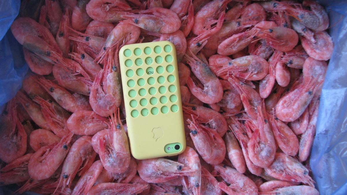 Panorama: Море креветок, restaurant, Москва, Ярославское шоссе, 61 - Yandex Maps