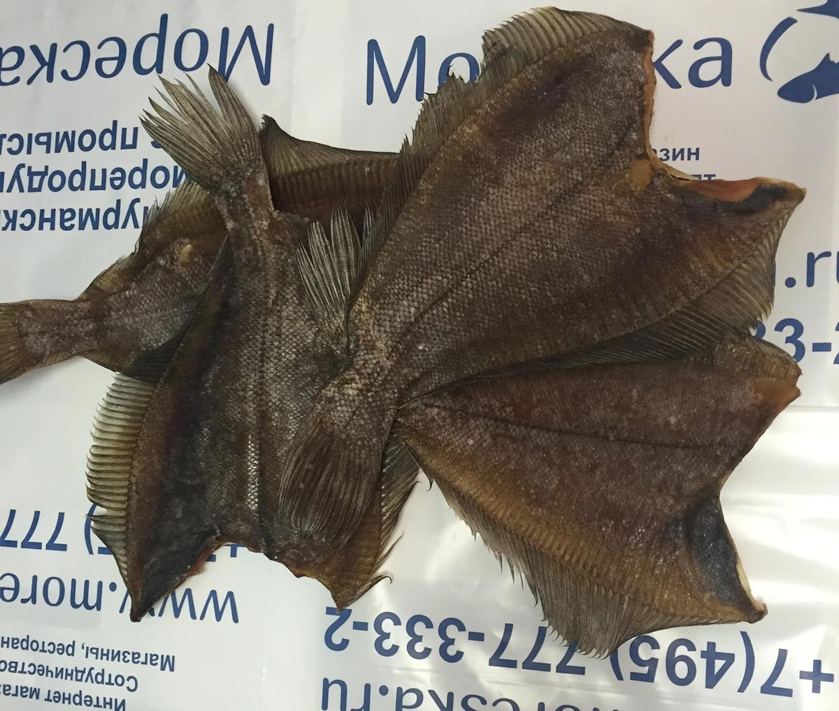 Products from abkhazia to Kamchatka, fish store, Russia, Nadym, Polyarnaya ulits