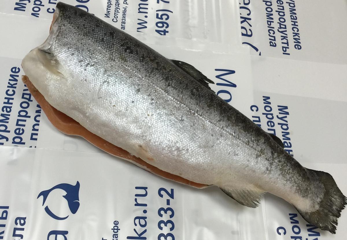 Продам: форель радужная 300...гр. в Сочи