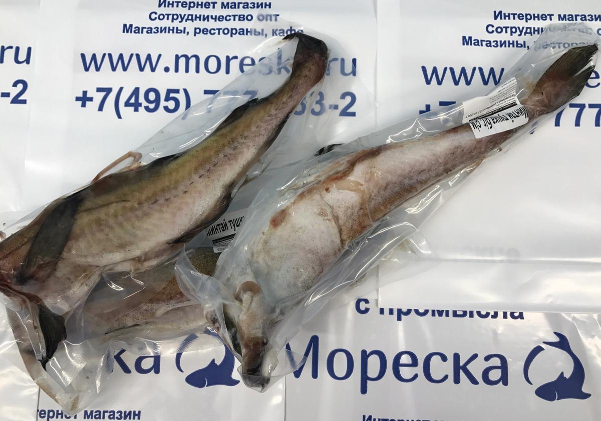 Как выглядит минтай живая рыба Как выглядит минтай живая рыба