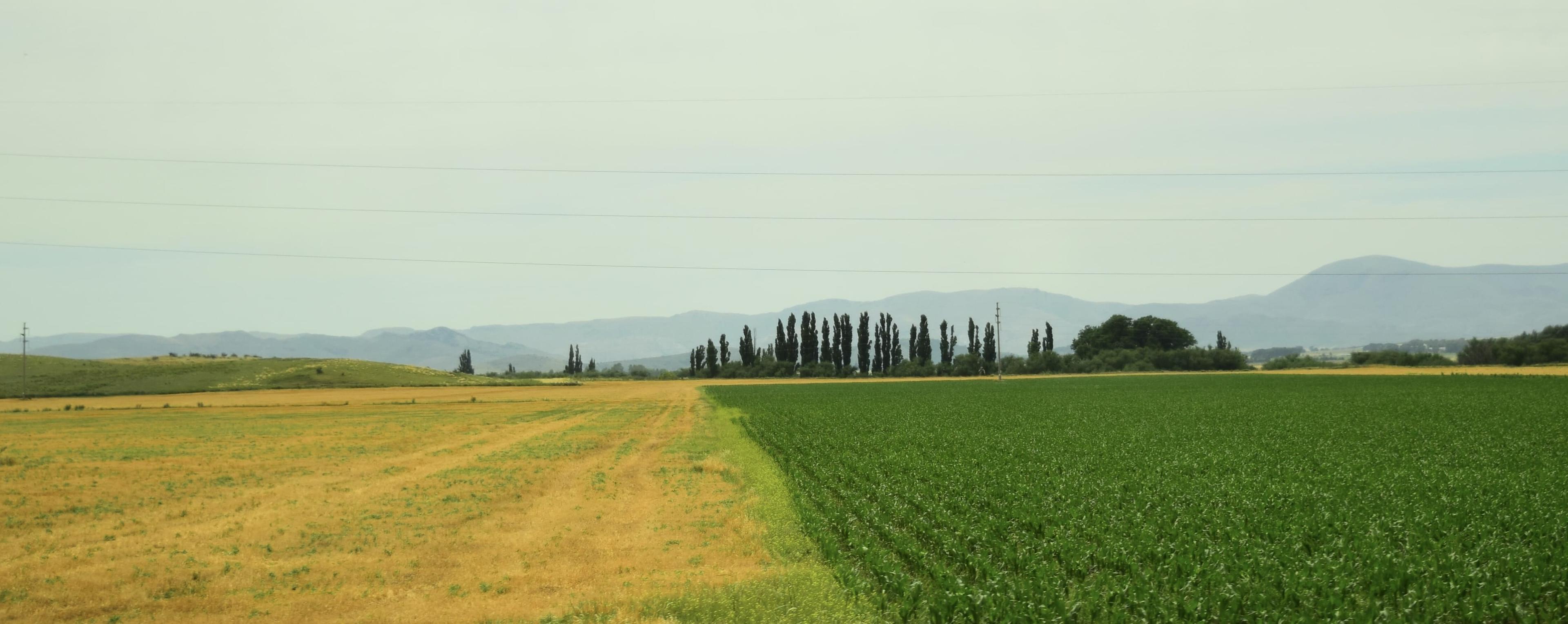 FK Meets | Featuring Joe Cruttwell - GM Europe, Patch