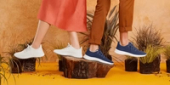 Allbirds - MD, Europe