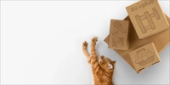 Zooplus - Chief Marketing Officer