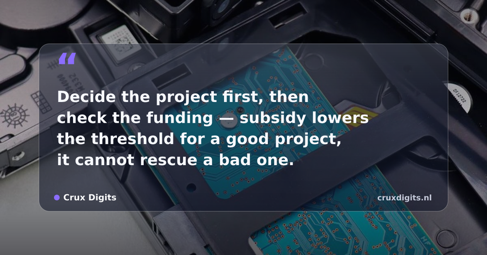 Pull quote from Crux Digits: Decide the project first, then check the funding — subsidy lowers the threshold for a good project, it cannot rescue a bad one.