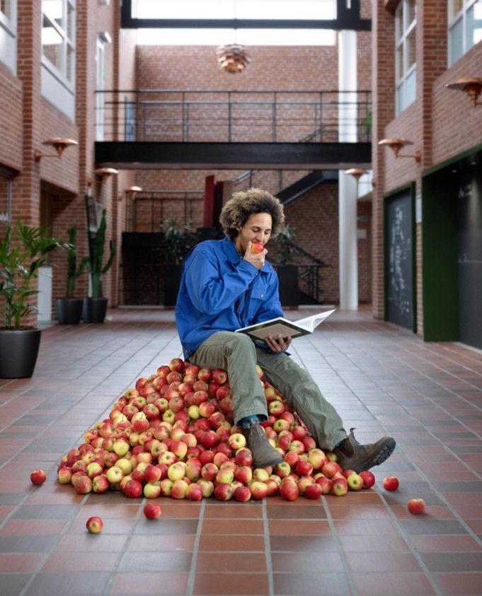 Planternes fascinerende verden