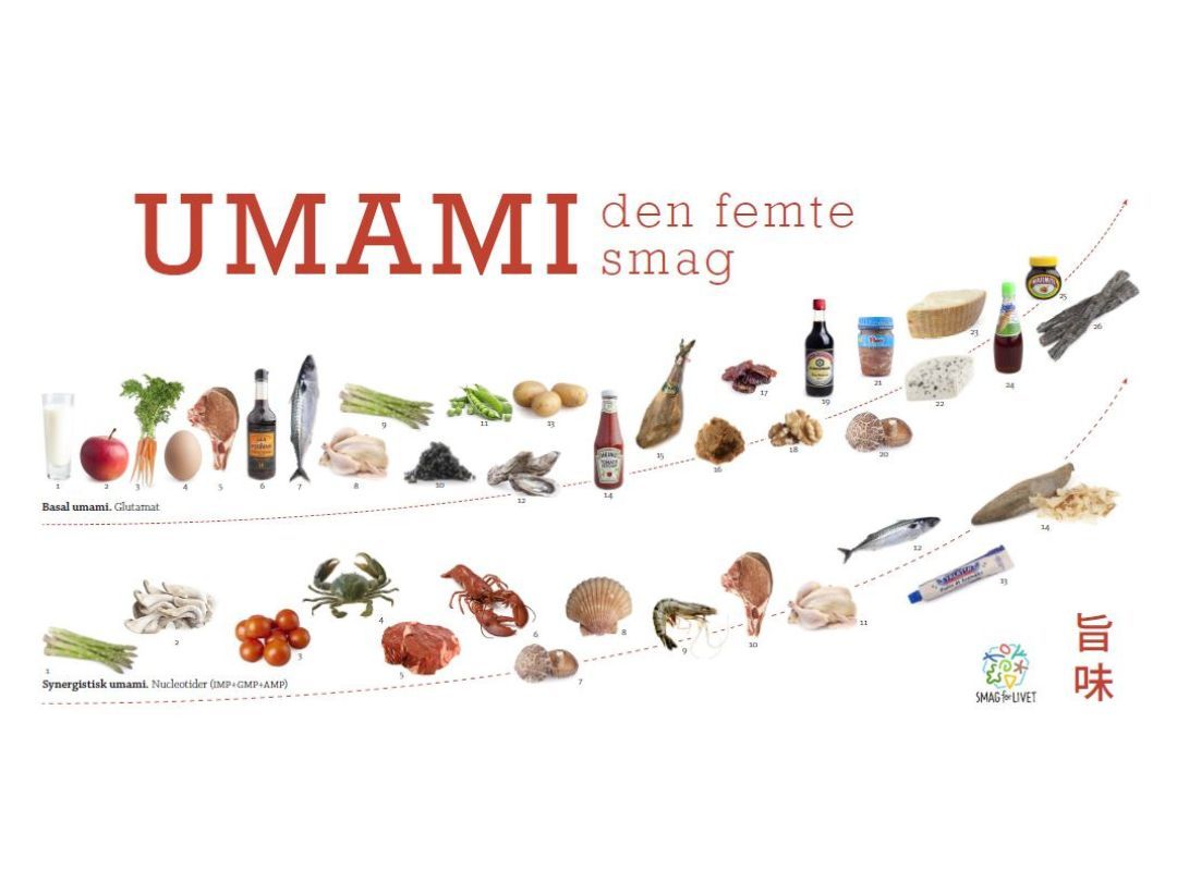 Bliv klogere på kilder til umami og forstå forskellen mellem basal og synergistisk umami