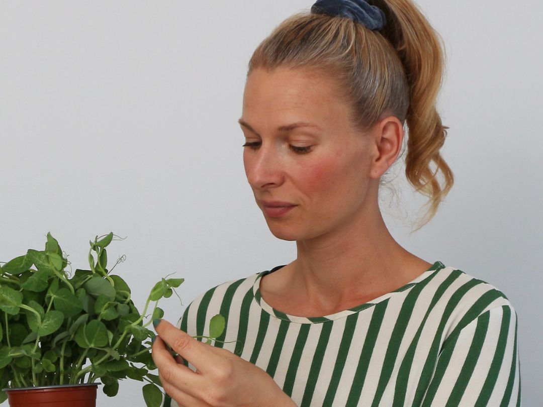 Forstå grundsmagene med Landbrug & Fødevarer