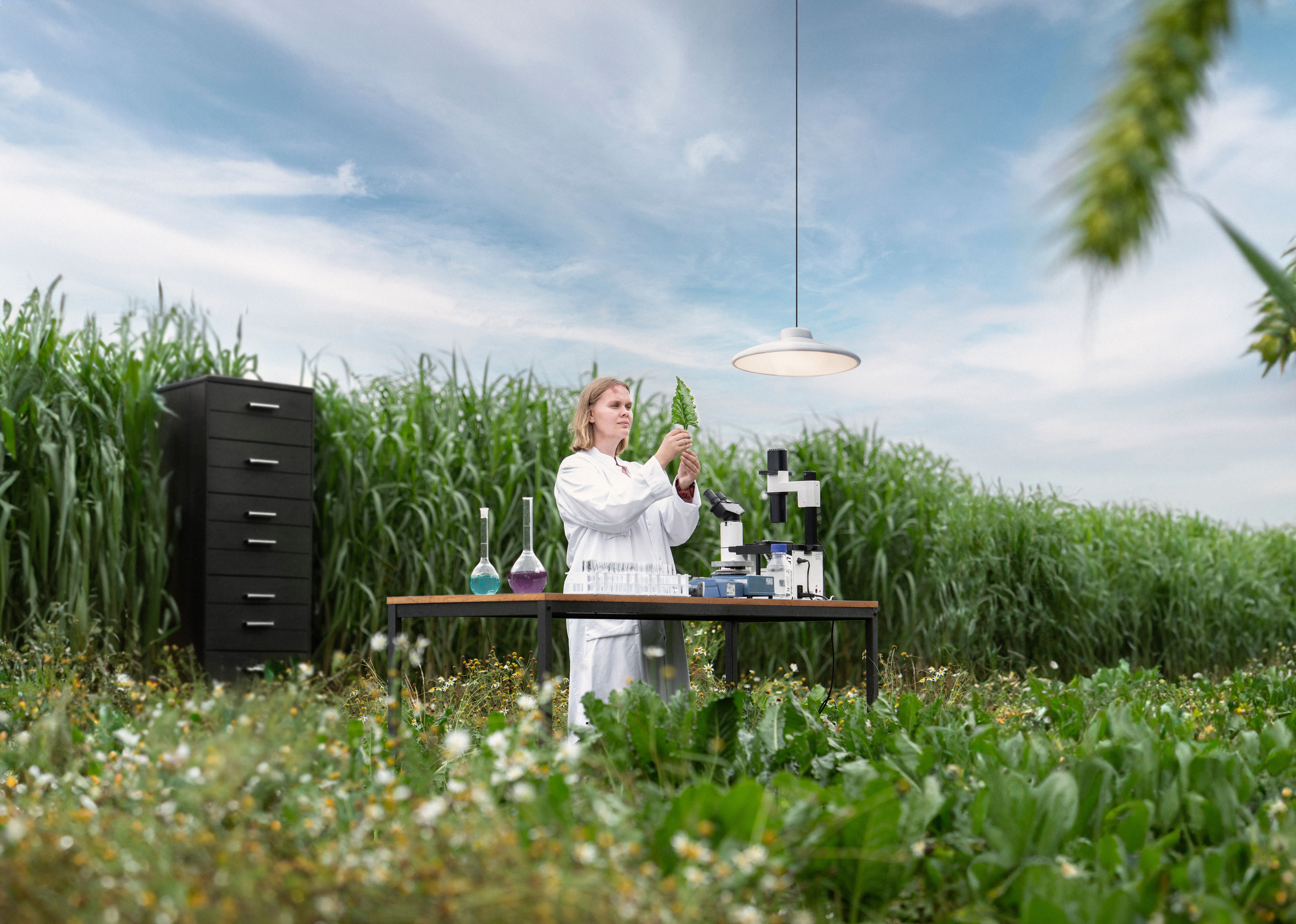 Oplev planternes rolle i den grønne omstilling