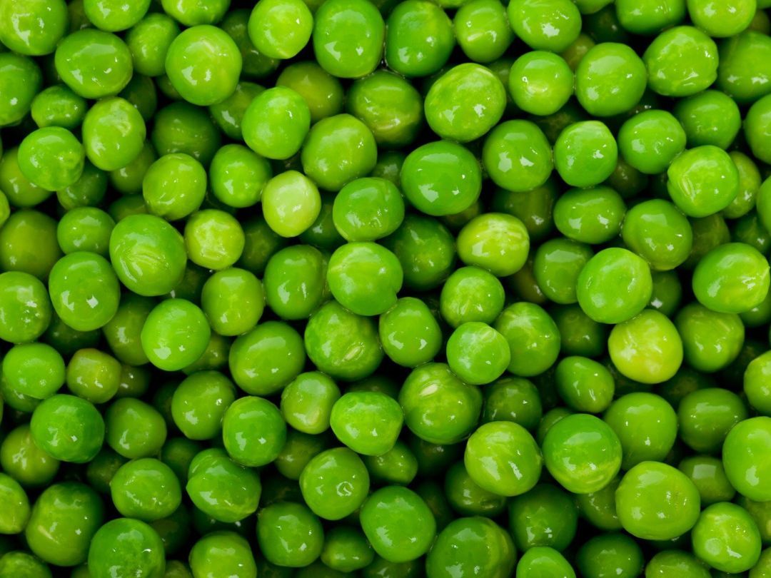 Vil du være med til at give danskerne grønnere spisevaner?