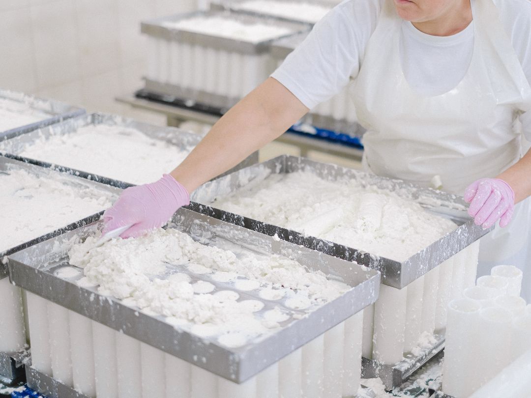 Nordens eneste mejeristuddannelse