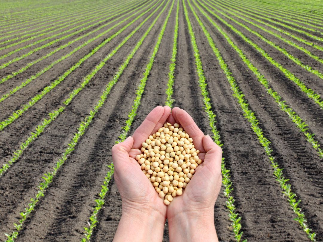 Spil om Danmarks arealanvendelse