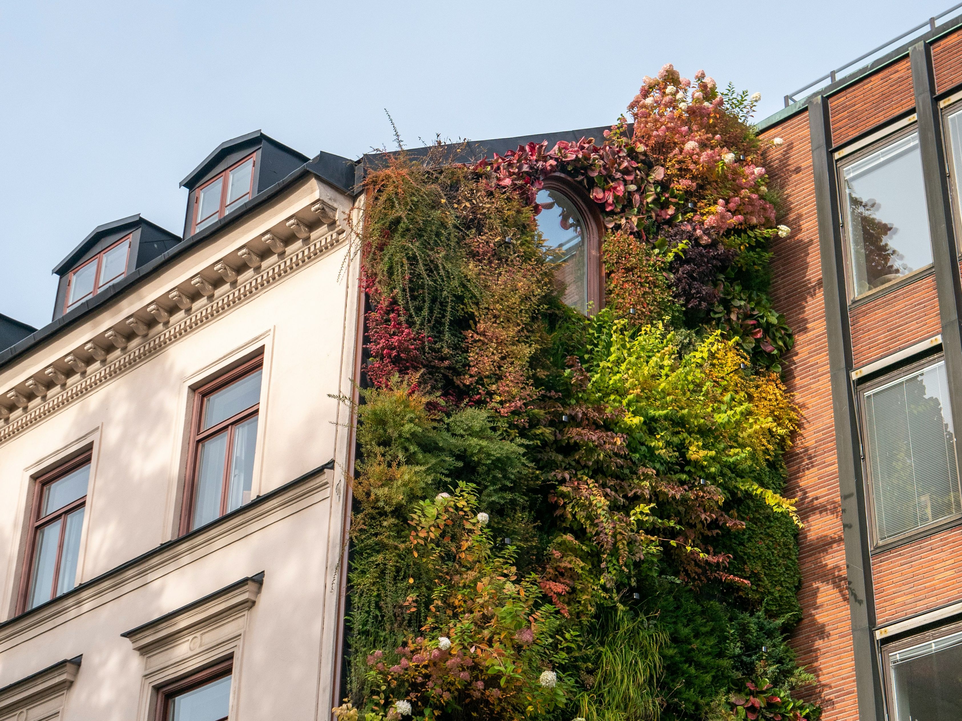 Bild på ett hus med blommor och planteringar.
