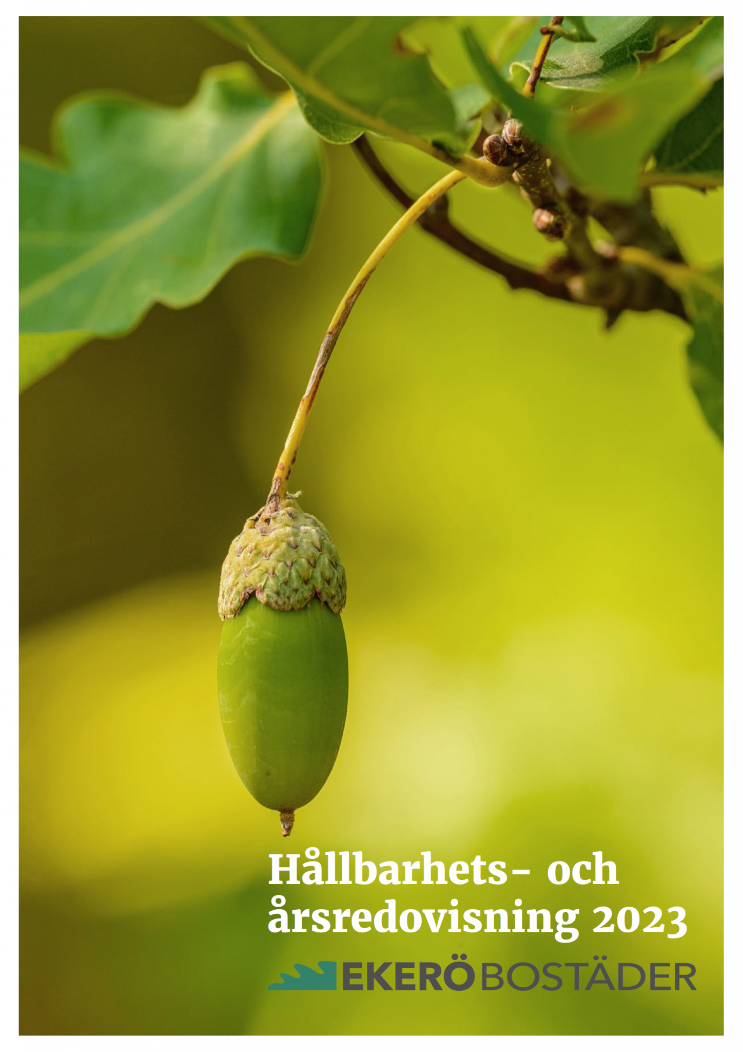 Träd och texten hållbarhets och årsredovisning 2023