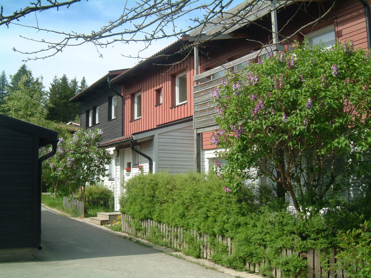 Gustavavägen bostadsområde med färgglada radhus i svarta, röda och grå exteriörer, omgivna av träd och buskar med lila blommor. Klarblå himmel och en asfalterad gångväg framför husen.