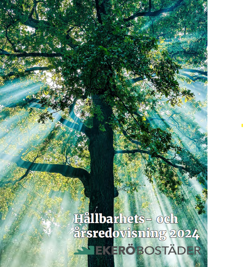 Träd och texten hållbarhets och årsredovisning 2024