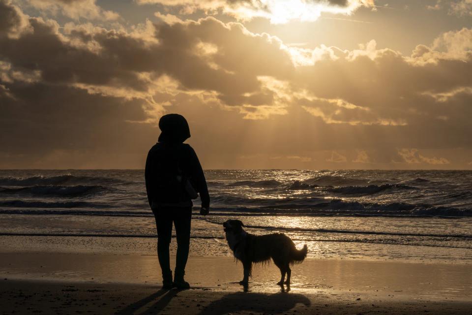 Ein Mensch und ein Hund stehen als Silhouetten am Meer im goldenen Abendlicht.