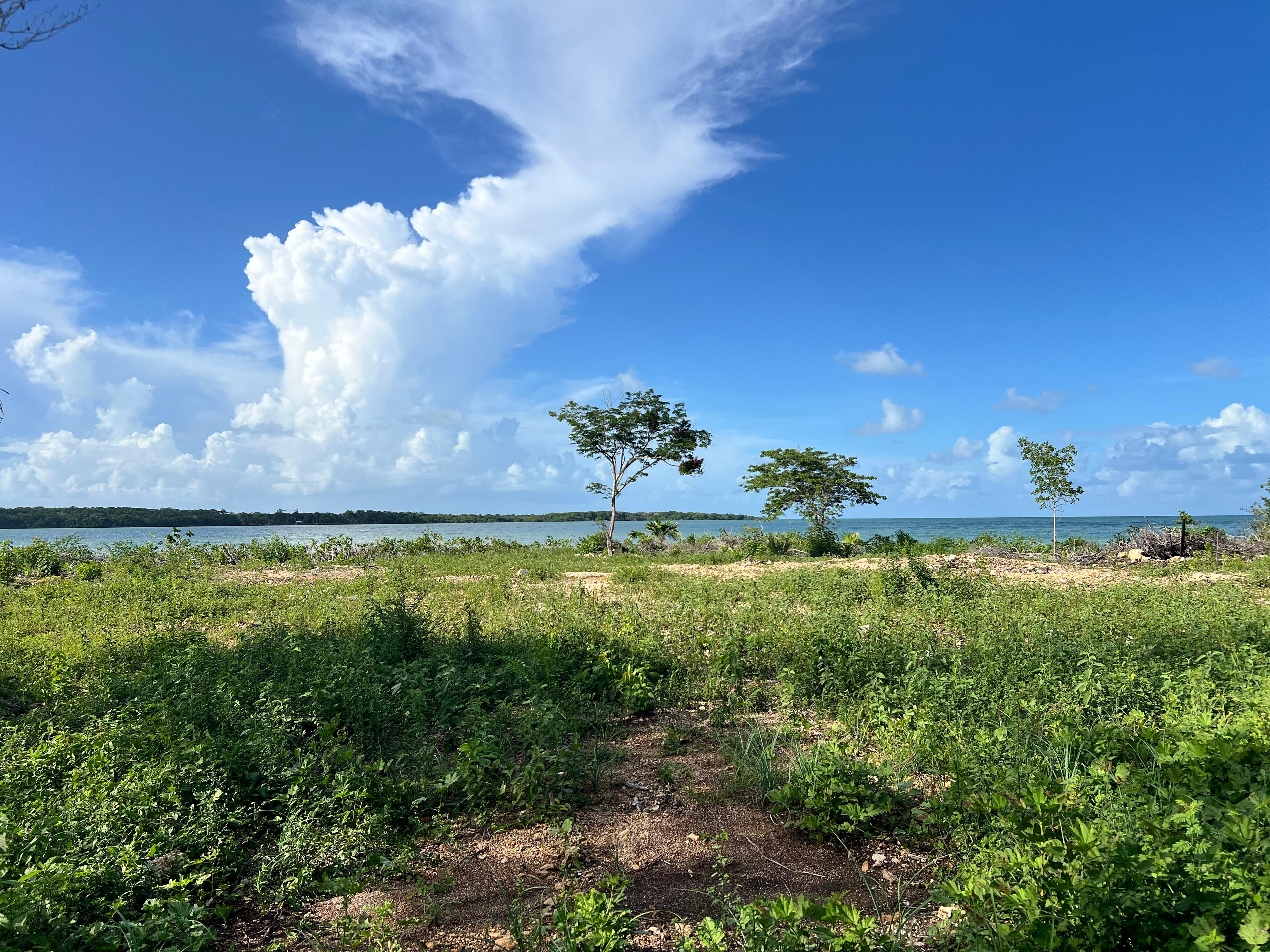 0.51 Acre Beachfront Property for Sale in Warree Bight, Corozal, Belize | Sandy Beach, Well & Road Access — view 4