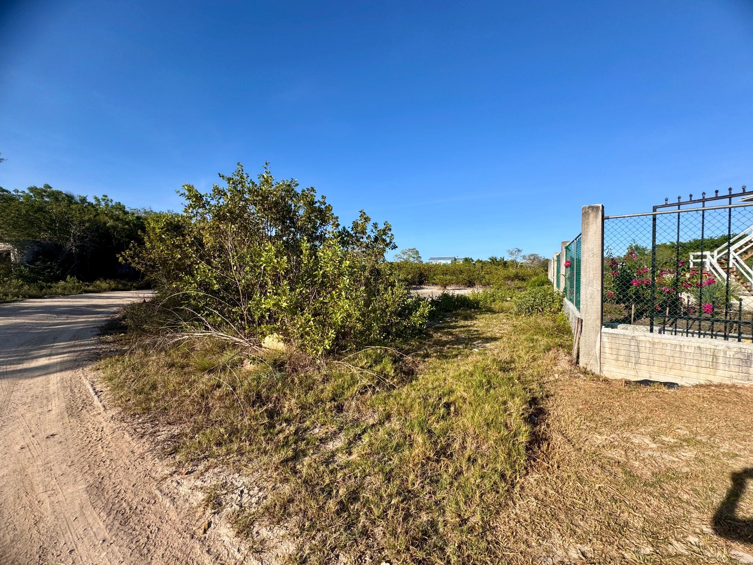 Prime Sea View Land in Sarteneja – Corner Lot, Utilities Available, Walk to Sea — view 3