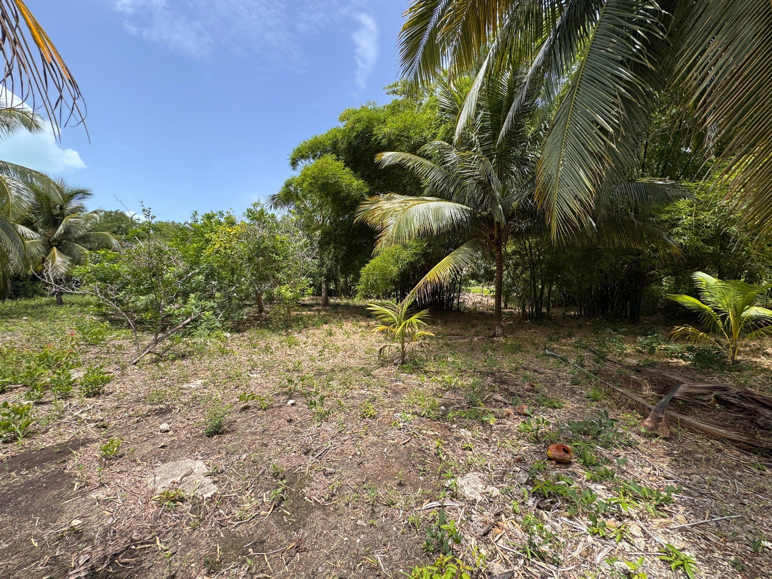 Lagoon View Land for Sale in Copper Bank Village, Corozal, Belize – 668 Sq. Meter Ready-to-Build Lot — view 4
