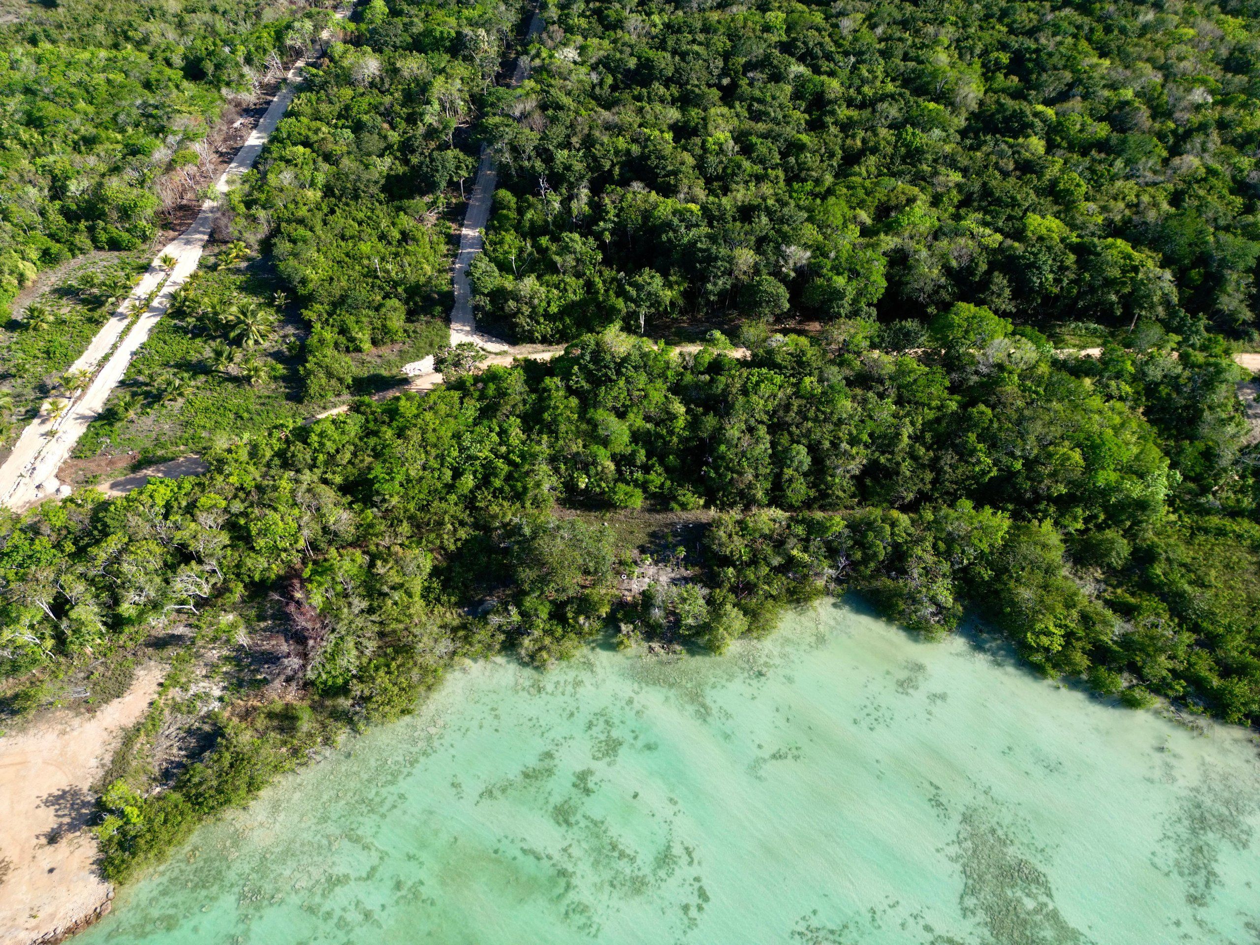 0.25 Acre Seaview Lots for Sale in Warree Bight Corozal Belize | Santiago Coastal Estates Near Corozal Bay | Affordable Coastal Land from $45K USD in Belize — view 5