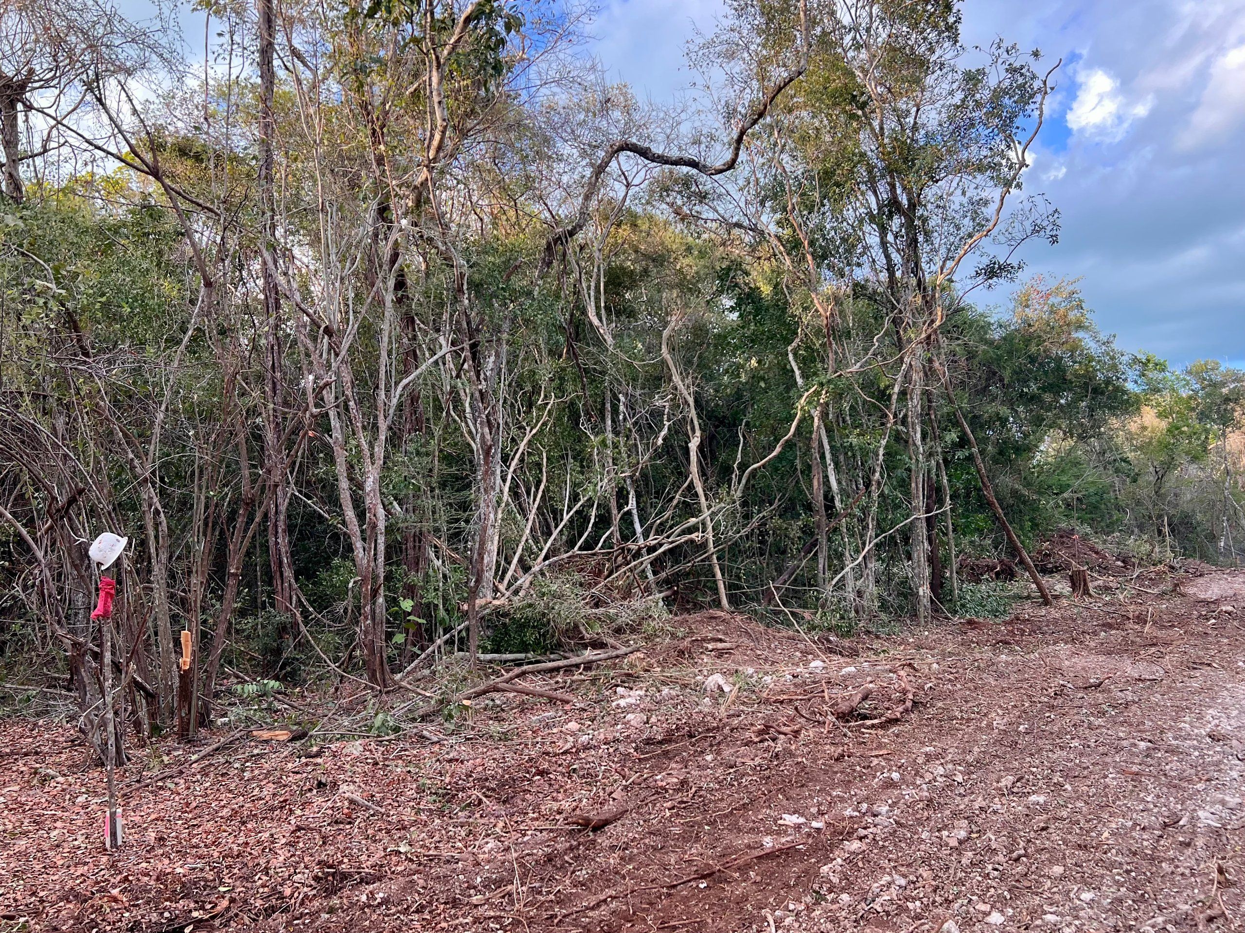 0.25 Off grid Acre Lot for sale in Sarteneja Village, Corozal, Belize — view 2